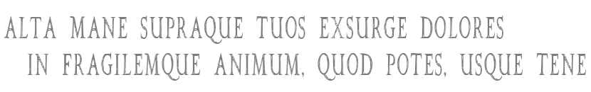 citazione