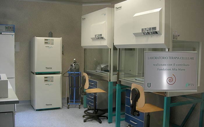 Cellular therapy laboratory , Tor Vergata University, Rome (Italy)